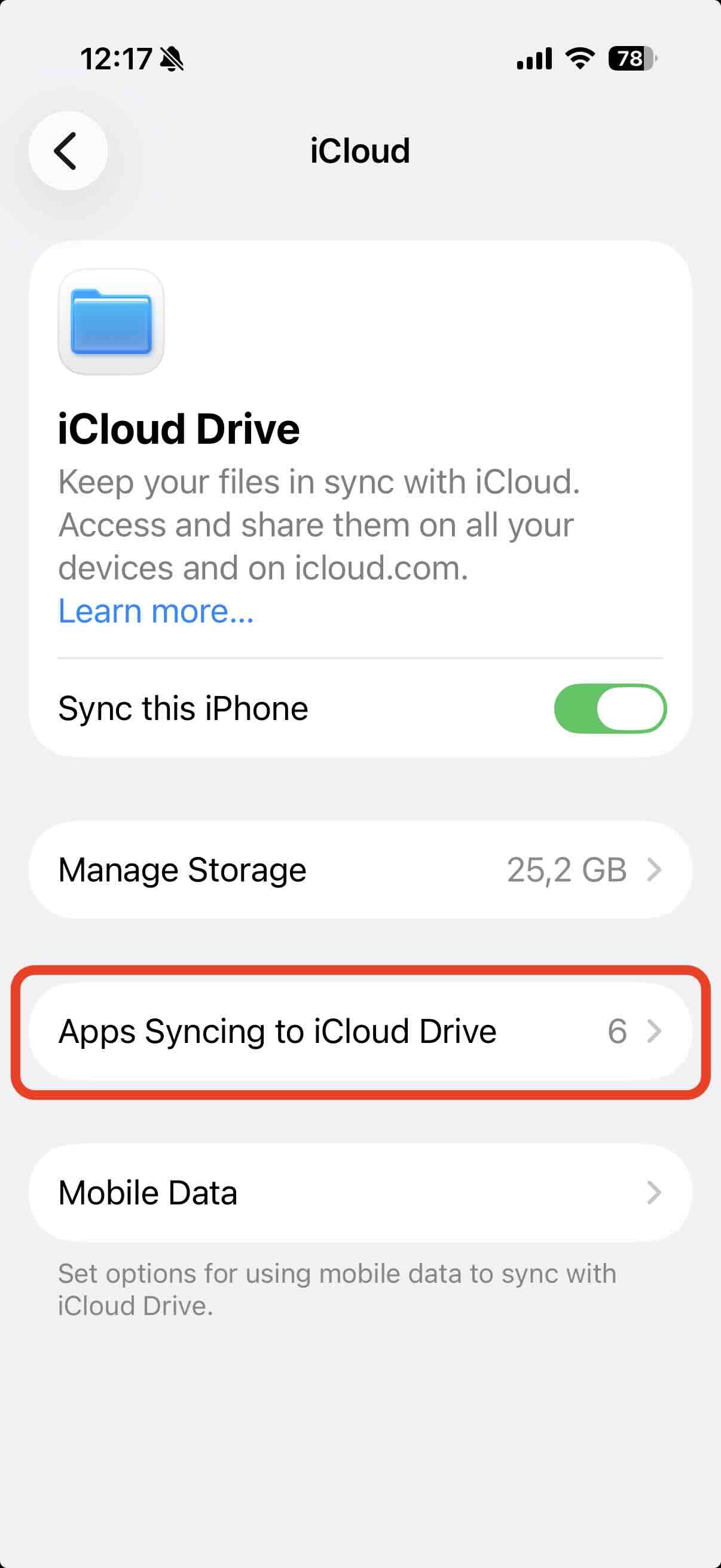 iOS settings iCloud Drive 1
